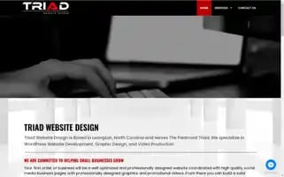 Triadwebsite.design Screenshot 2024-06-28 13:34:22
