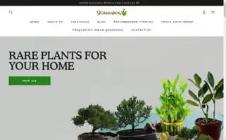 9greenbox.com Screenshot 2024-05-05 05:17:02