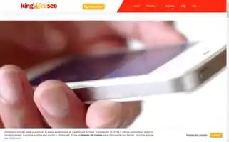 Kingwebseo.com Screenshot 2024-06-15 16:10:18