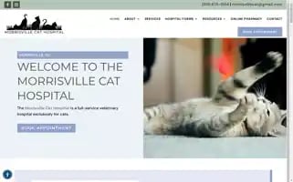 Morrisvillecathospital.com Screenshot 2024-07-01 15:03:40