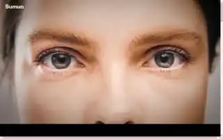 Sumun.net Screenshot 2024-07-01 08:42:32