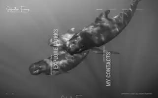 Sebastienferraz.com Screenshot 2024-05-17 04:57:51