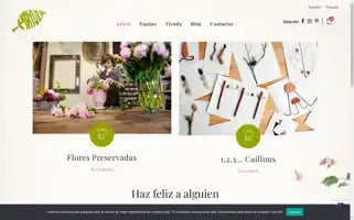 Mayula.eu Screenshot 2024-05-21 05:48:27