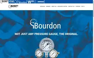 Espgauges.com Screenshot 2024-07-07 06:52:23