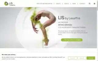 Lesaffre-ingredients-services.fr Screenshot 2024-06-29 02:43:48