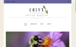 Calyxnativenursery.com Screenshot 2024-07-04 09:42:48