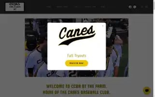 Collincountybaseball.com Screenshot 2024-06-26 21:25:50