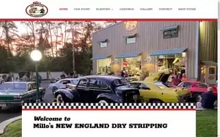 Drystripping.com Screenshot 2024-04-17 11:28:48