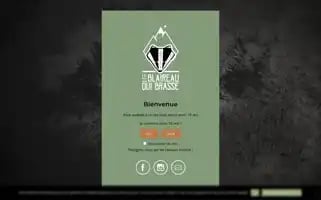 Blaireau-brasserie.com Screenshot 2024-06-30 01:31:20