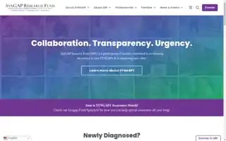 Curesyngap1.org Screenshot 2024-06-29 22:10:07