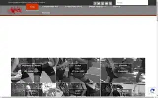 Streetbaskettour.com Screenshot 2024-04-16 07:06:42
