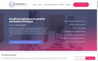 Workingwithwordpress.com Screenshot 2024-07-02 14:45:44