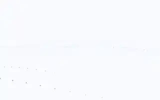 Malzemedunyasi.com Screenshot 2024-07-08 10:52:39