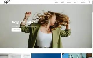 Heyallie.com Screenshot 2024-06-12 04:31:15