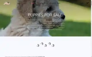 Dianaspethome.com Screenshot 2024-05-22 14:17:41