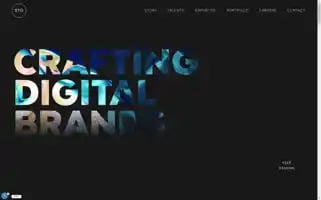 Stgltd.com Screenshot 2024-06-17 04:02:30