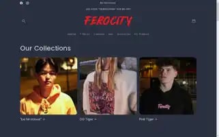 Ferocityapparel.com Screenshot 2024-05-03 18:11:44