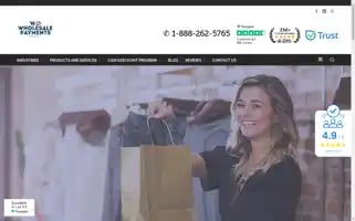 Wholesalepaymentsdirect.com Screenshot 2024-05-15 02:58:36