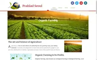 Prahladseoul.com Screenshot 2024-05-29 12:16:59