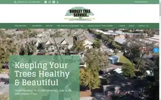 Abudgettreeservice.com Screenshot 2024-07-05 11:55:40