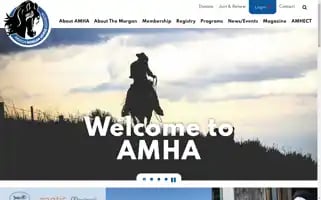 Morganhorse.com Screenshot 2024-05-13 00:10:19