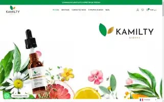 Kamilty.com Screenshot 2024-05-29 11:10:33