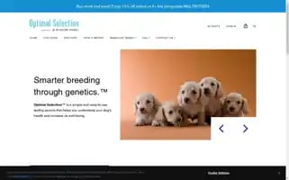 Optimal-selection.com Screenshot 2024-05-04 14:28:41