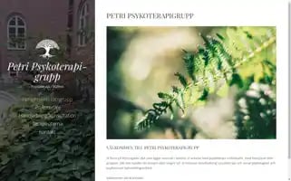 Petripsykoterapigrupp.se Screenshot 2024-04-17 17:22:46