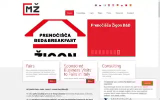 Mz-consulting.org Screenshot 2024-05-13 02:02:48