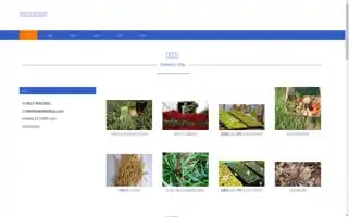 1171058.com Screenshot 2024-07-09 20:28:02