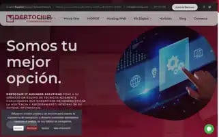 Dertochip.com Screenshot 2024-06-18 23:42:30