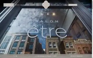 Salonetre.com Screenshot 2024-06-18 10:02:03