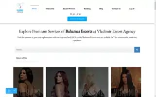 Vladimirescorts.com Screenshot 2024-07-05 14:19:52