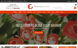 Promotomarketing.com Screenshot 2024-05-13 13:41:58