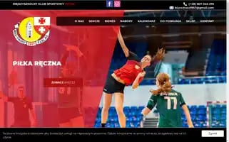 Truso.elblag.pl Screenshot 2024-07-08 16:53:33