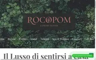 Rocopom.com Screenshot 2024-06-15 00:25:17