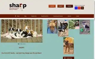 Sharprescue.org Screenshot 2024-05-18 22:59:55