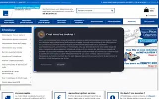 Nice-europe.fr Screenshot 2024-06-17 04:33:40