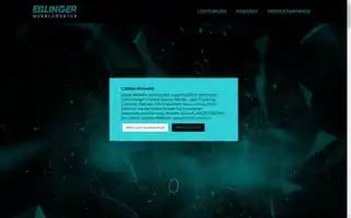 Esslinger-werbeagentur.com Screenshot 2024-06-30 16:14:01