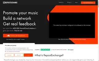 Repostexchange.com Screenshot 2024-05-13 16:38:46