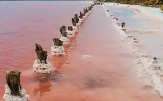 Tavridatrip.ru Screenshot 2024-04-16 11:33:50