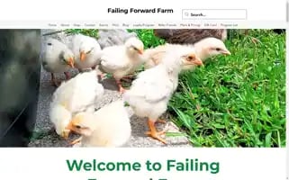 Failingforwardfarm.com Screenshot 2024-05-02 06:12:44