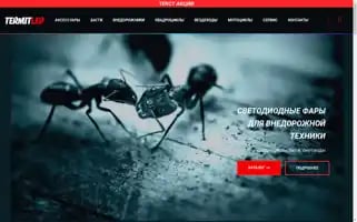 Termitled.ru Screenshot 2024-05-27 00:11:55