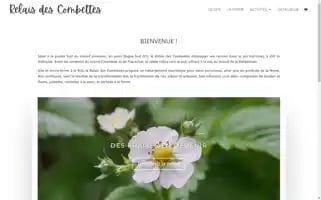 Relaisdescombettes.fr Screenshot 2024-05-22 09:03:21