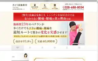 Satouryu.com Screenshot 2024-04-17 05:55:37
