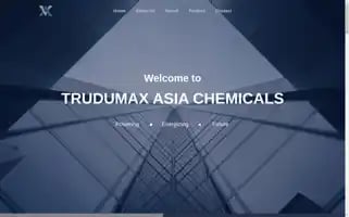 Trudumax.com Screenshot 2024-05-27 08:41:15