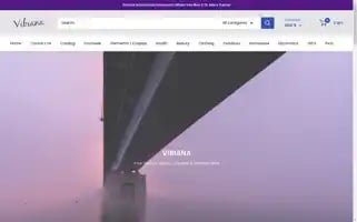 Vibiana.net Screenshot 2024-04-27 15:47:37