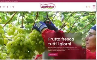 Orchideafrutta.it Screenshot 2024-07-09 08:02:10