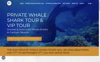 Privatevipcancunwhalesharktours.com Screenshot 2024-04-16 04:05:10