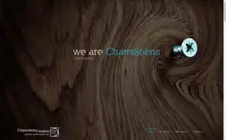 Chameleoncreative.com Screenshot 2024-07-06 10:47:54